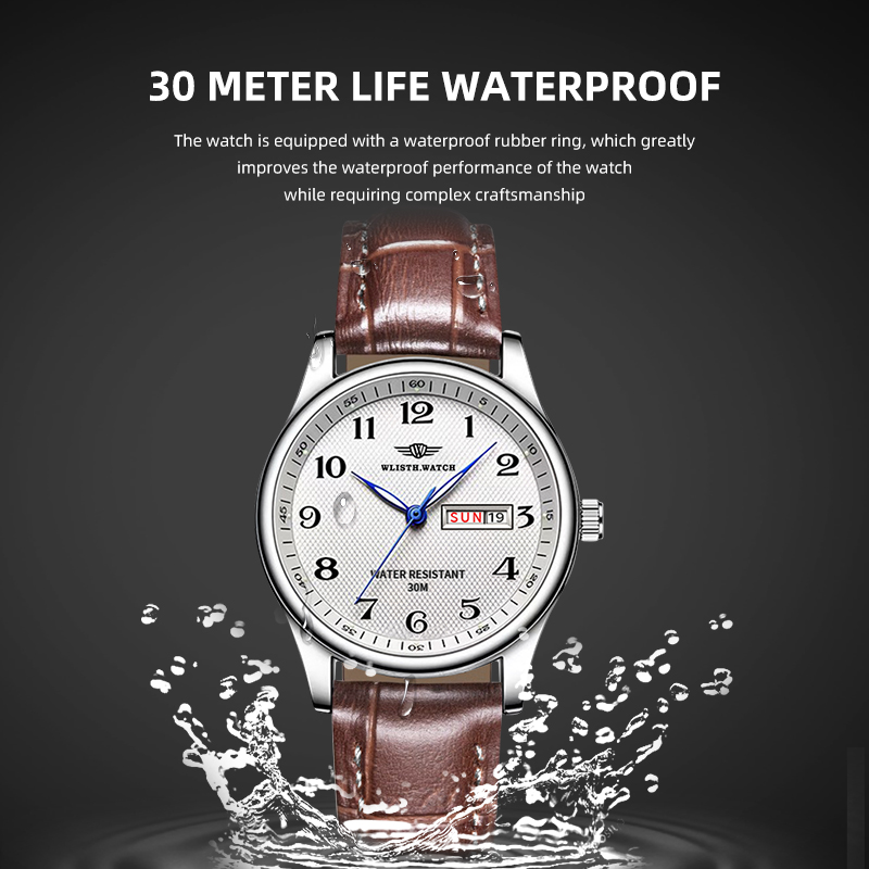WLISTH Luxury Brand Men's Watc - огляд і ціна Luxury Watch Audemars Piguet