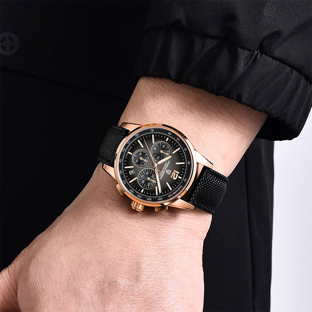 PAGANI DESIGN New Mens Watch 4 - огляд і ціна Luxury Watch Life